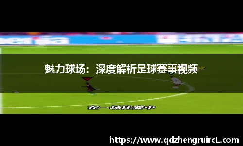 魅力球场：深度解析足球赛事视频