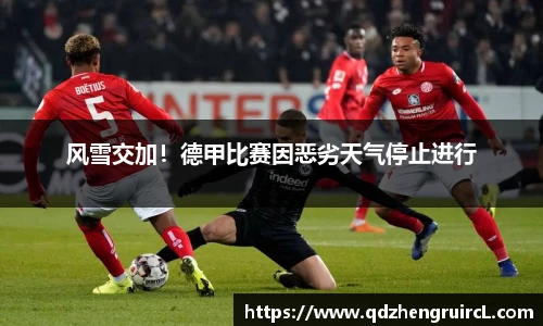 风雪交加！德甲比赛因恶劣天气停止进行